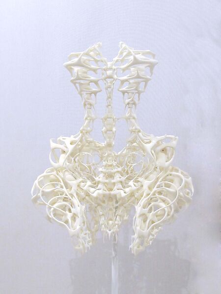 Ensemble, Iris van Herpen (Dutch, founded 2007), (a, b) plastic (polyamide); (c, d) leather, plastic (acrylic), Dutch