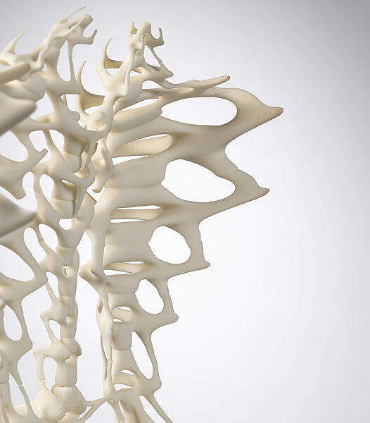 Ensemble, Iris van Herpen (Dutch, founded 2007), (a, b) plastic (polyamide); (c, d) leather, plastic (acrylic), Dutch