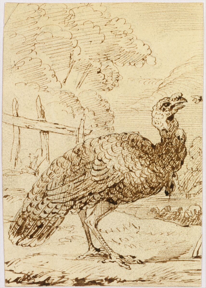 Turkey, Benjamin West (American, Swarthmore, Pennsylvania 1738–1820 London), Pen and brown ink on wove paper, American 