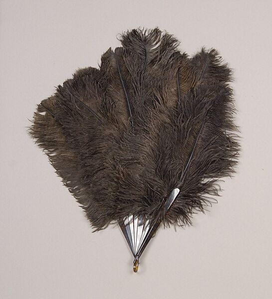Fan, Tortoiseshell, feather, American 