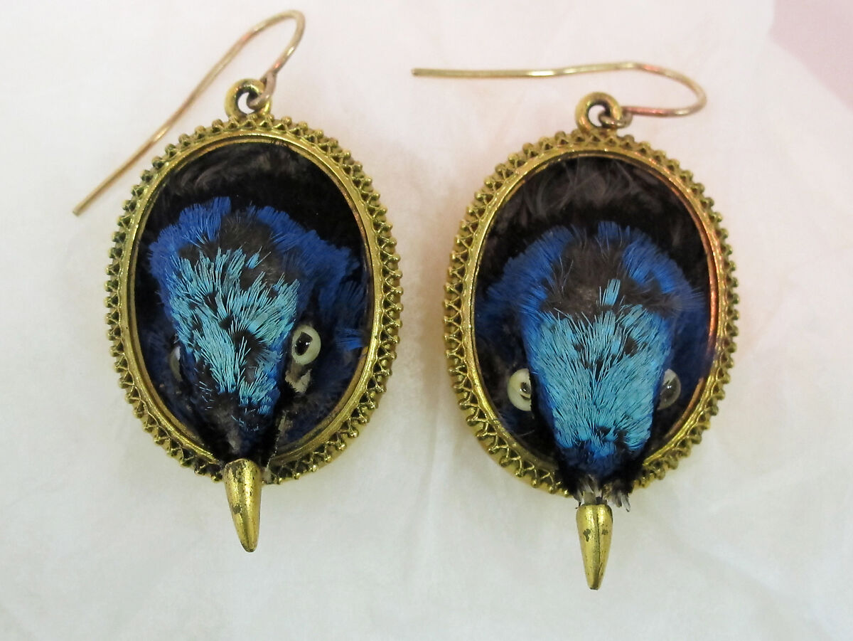 Earrings, preserved hummingbird, gold, metal, British 