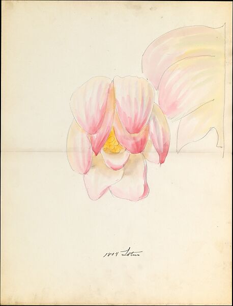 Design drawing of of lotus blossom of floral capital from loggia, Laurelton Hall, Lenox, Incorporated  American, Watercolor, graphite, and ink on paper, American