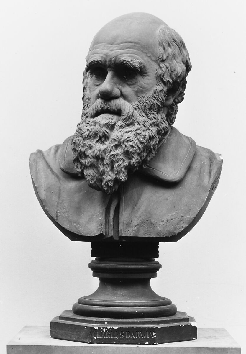 Charles Darwin, Joseph Echteler (1853–1908), Plaster, painted to imitate terracotta; pedestal, painted black, German, Munich 