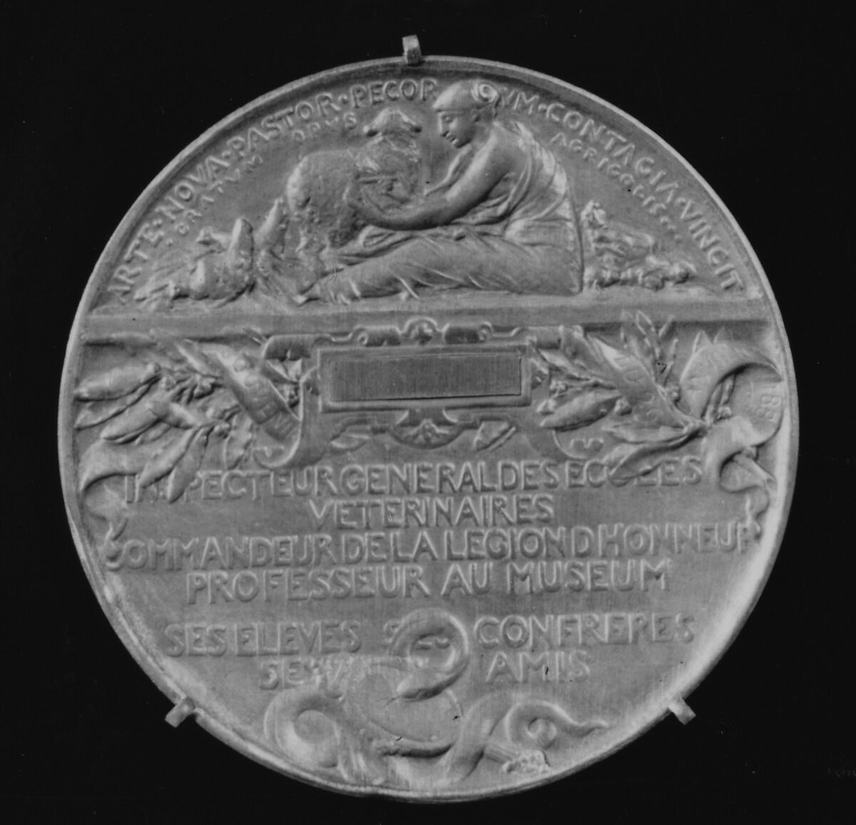 In Honor of Henri Bouley, President of the Academy of Sciences, 1884–85, Medalist: Louis-Oscar Roty (French, Paris 1846–1911 Paris), Bronze, struck, silvered, French