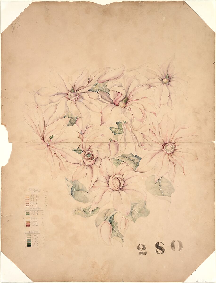 Design Drawing, Tiffany &amp; Co. (1837–present), Opaque and transparent watercolor, and graphite on board, American 
