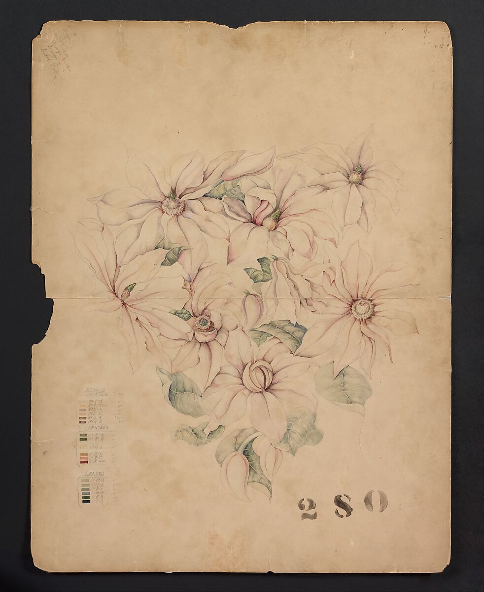 Design Drawing, Tiffany &amp; Co. (1837–present), Opaque and transparent watercolor, and graphite on board, American