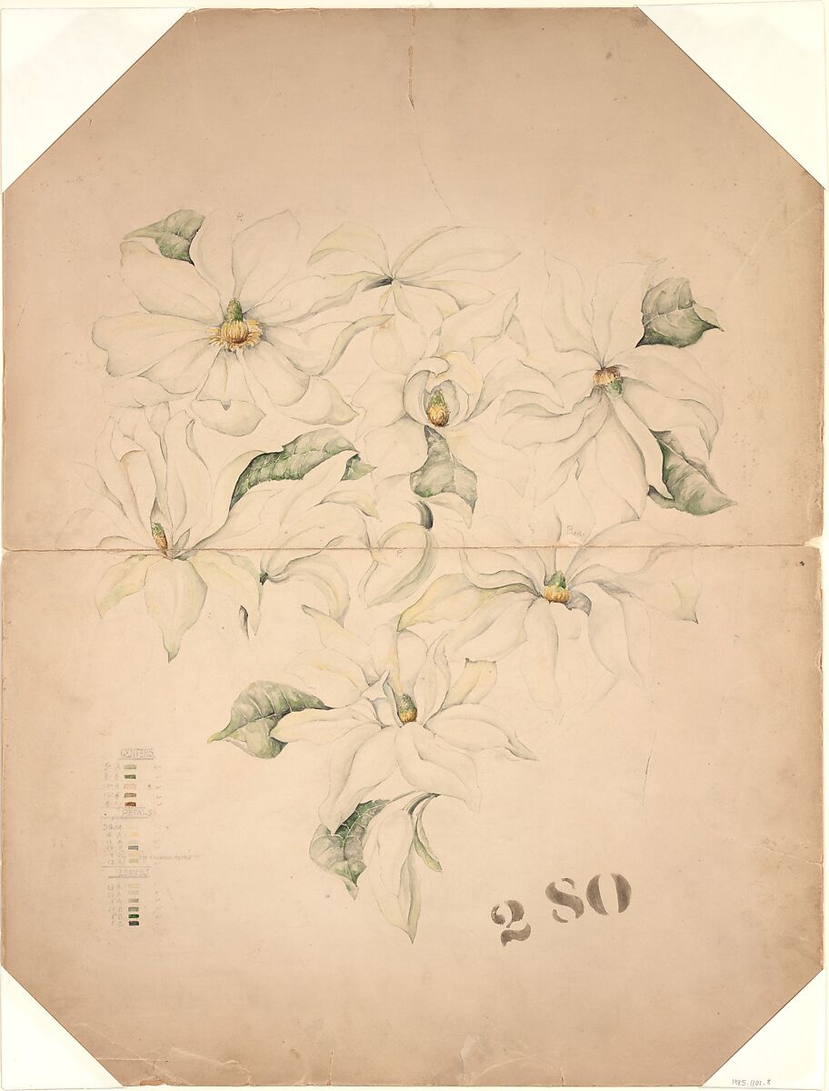 Drawing of Magnolia Vase with Enameling Notations (?), Tiffany &amp; Co. (1837–present), Opaque and transparent watercolor, and graphite on board, American 