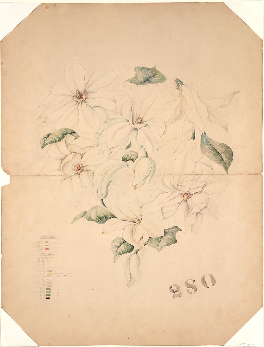 Design Drawing for Magnolia Vase, Tiffany & Co., Opaque and transparent watercolor, and graphite on board, American