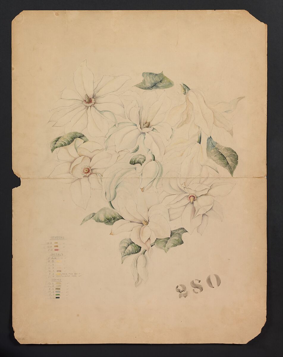 Design Drawing for Magnolia Vase, Tiffany &amp; Co. (1837–present), Opaque and transparent watercolor, and graphite on board, American