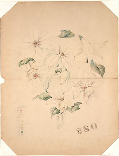 Design Drawing for Magnolia Vase