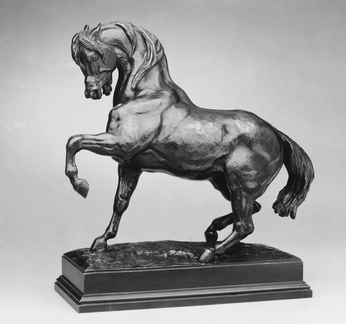 Turkish Horse, Left Foot Raised, Antoine-Louis Barye (French, Paris 1795–1875 Paris), Bronze, French