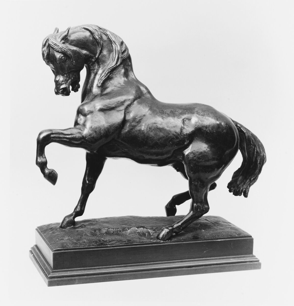 Turkish Horse, Left Foot Raised, Antoine-Louis Barye (French, Paris 1795–1875 Paris), Bronze, French