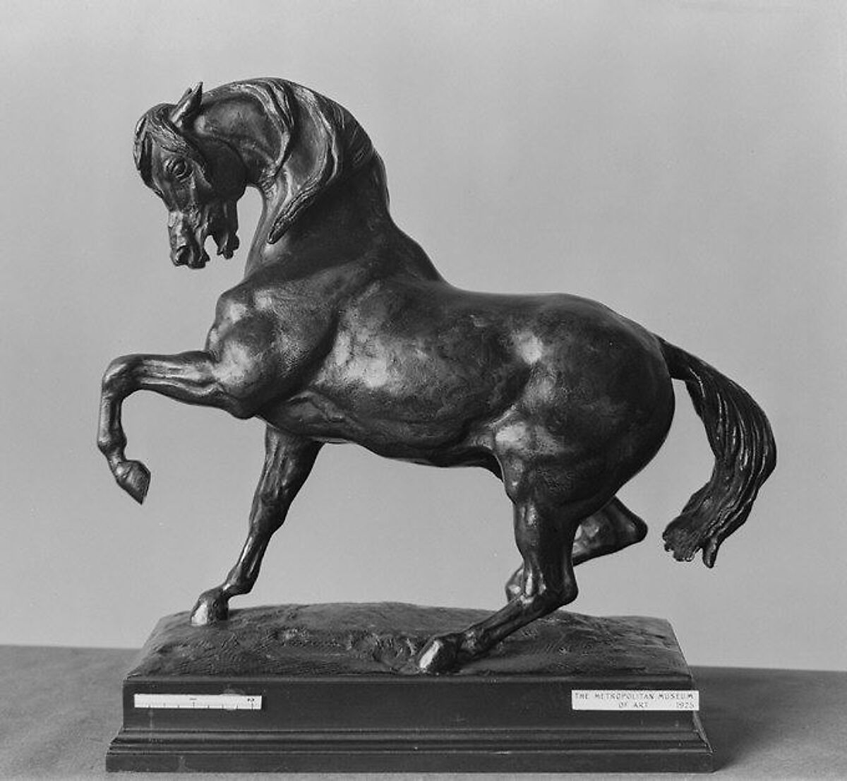Turkish Horse, Left Foot Raised, Antoine-Louis Barye (French, Paris 1795–1875 Paris), Bronze, French