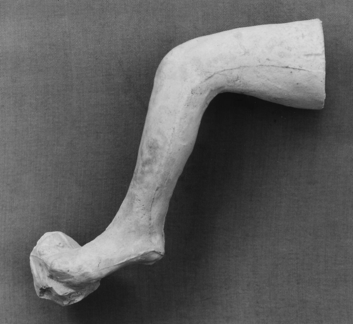 Study of a leg, Auguste Rodin (French, Paris 1840–1917 Meudon), Cast plaster, French