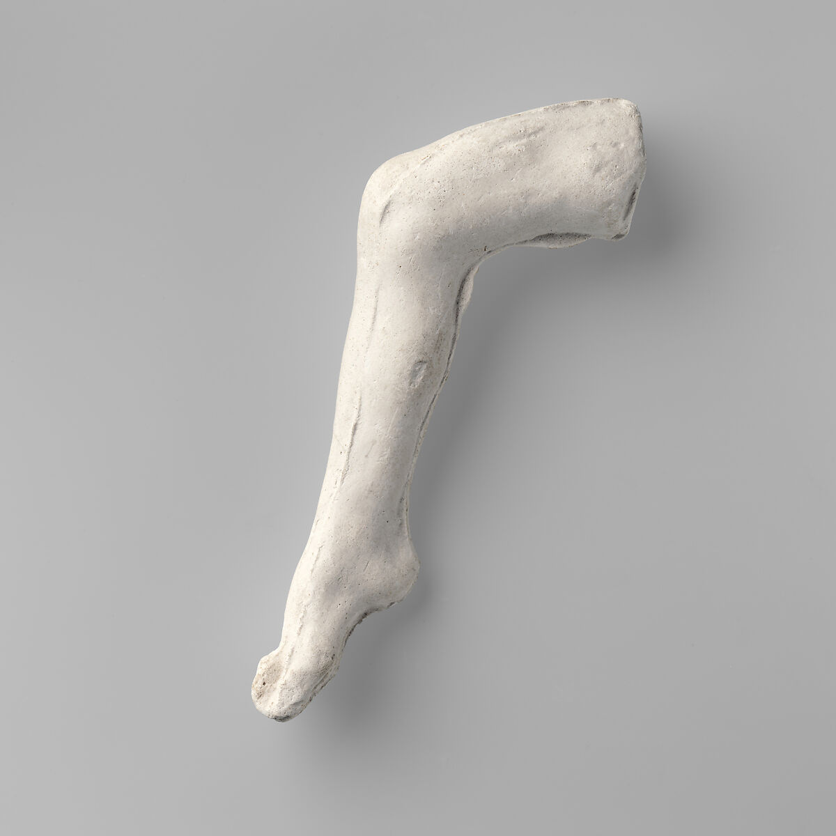 Study of a leg, Auguste Rodin (French, Paris 1840–1917 Meudon), Cast plaster, French