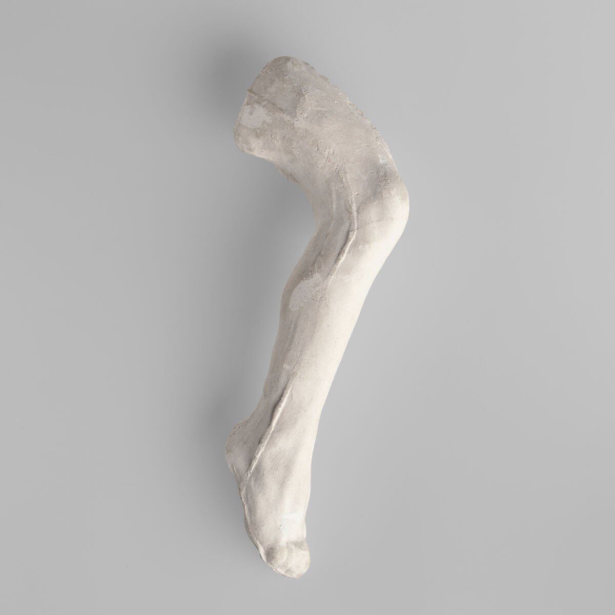 Study of a leg, Auguste Rodin (French, Paris 1840–1917 Meudon), Cast plaster, French 