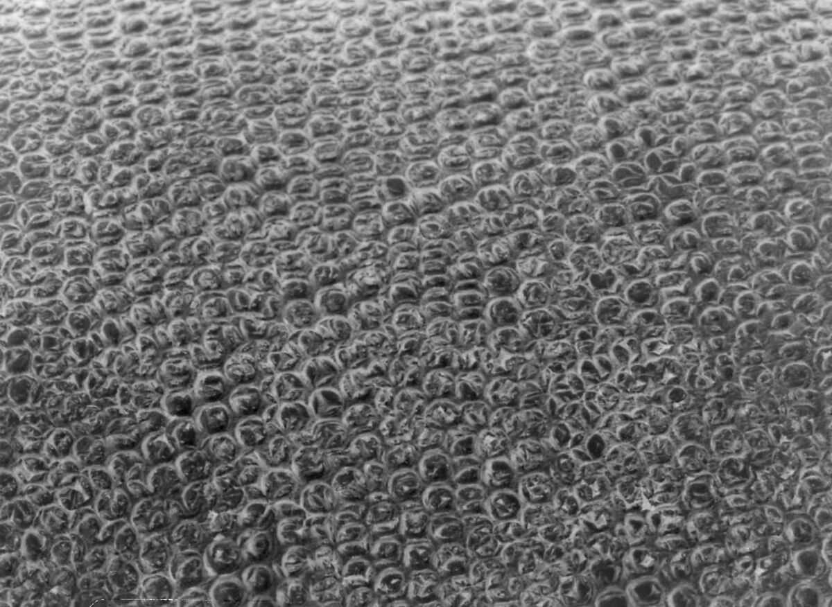 Tankard, Abraham Grill (master 1672, died 1682), Silver gilt, German, Augsburg