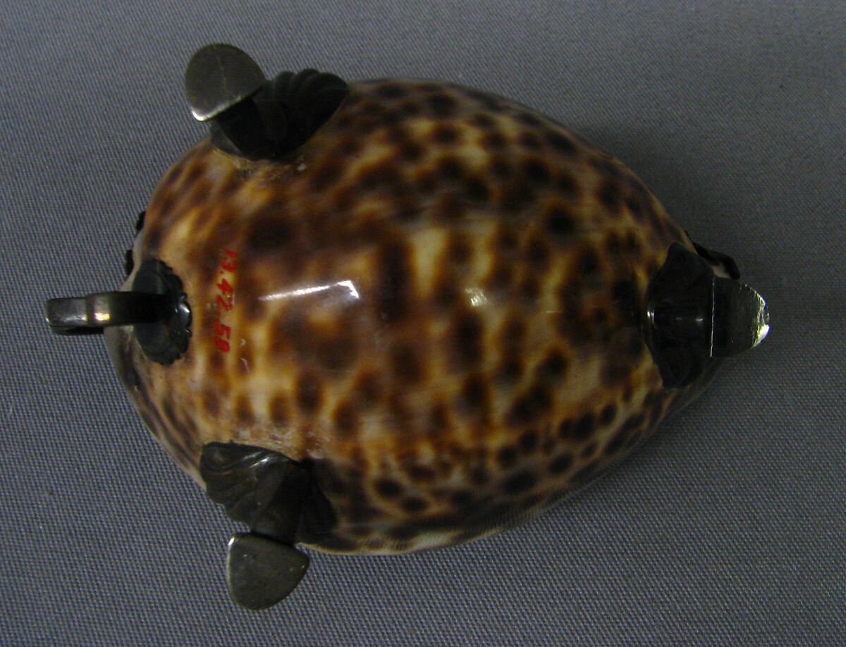 Cowrie shell, Silver, cowrie shell, British