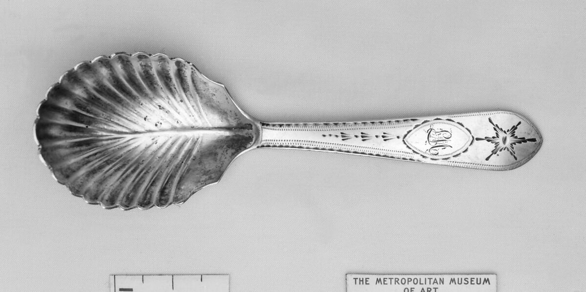 Tea caddy spoon, William Hamey (ca. 1765–1812), Silver, Irish, Dublin