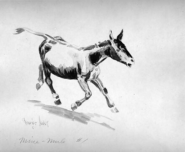 Mine-Mule, Number 1, George Luks (American, Williamsport, Pennsylvania 1866–1933 New York), Wash on paper, American 