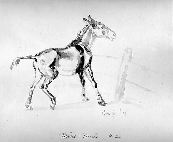 Mine-Mule, Number 2, George Luks (American, Williamsport, Pennsylvania 1866–1933 New York), Wash on paper, American 