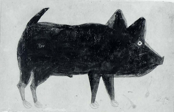 Black Pig