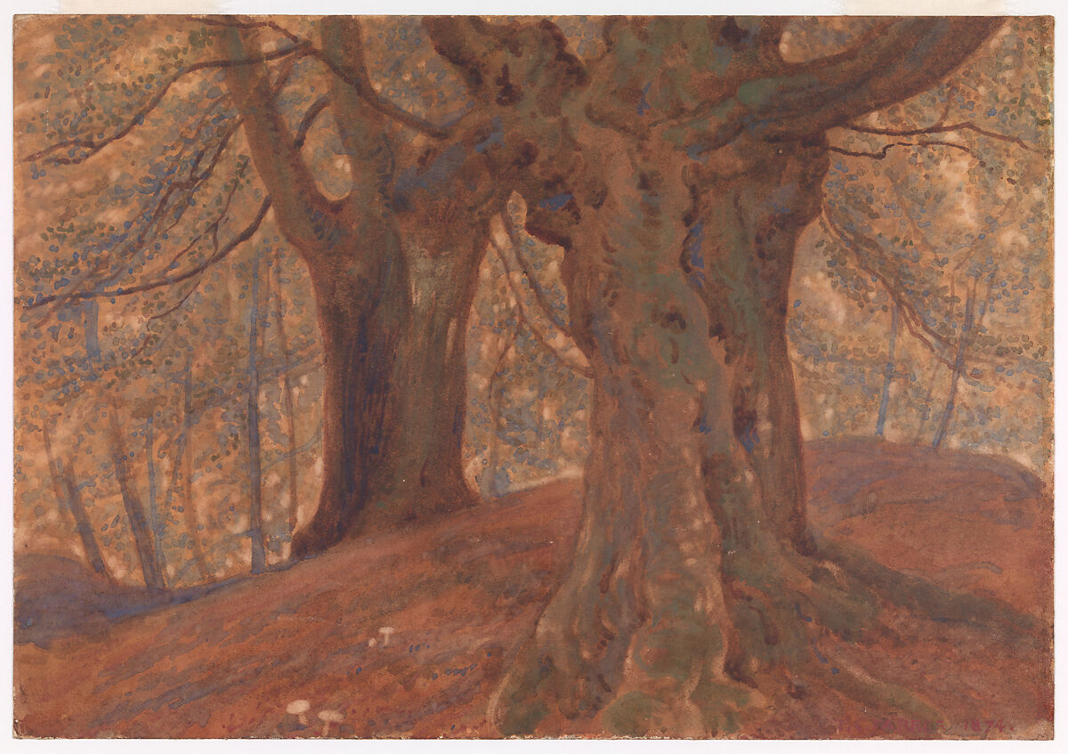 Burnham Beeches, Thomas Charles Farrer (1838–1891), Watercolor and gouache on wove paper mounted on cardboard, American