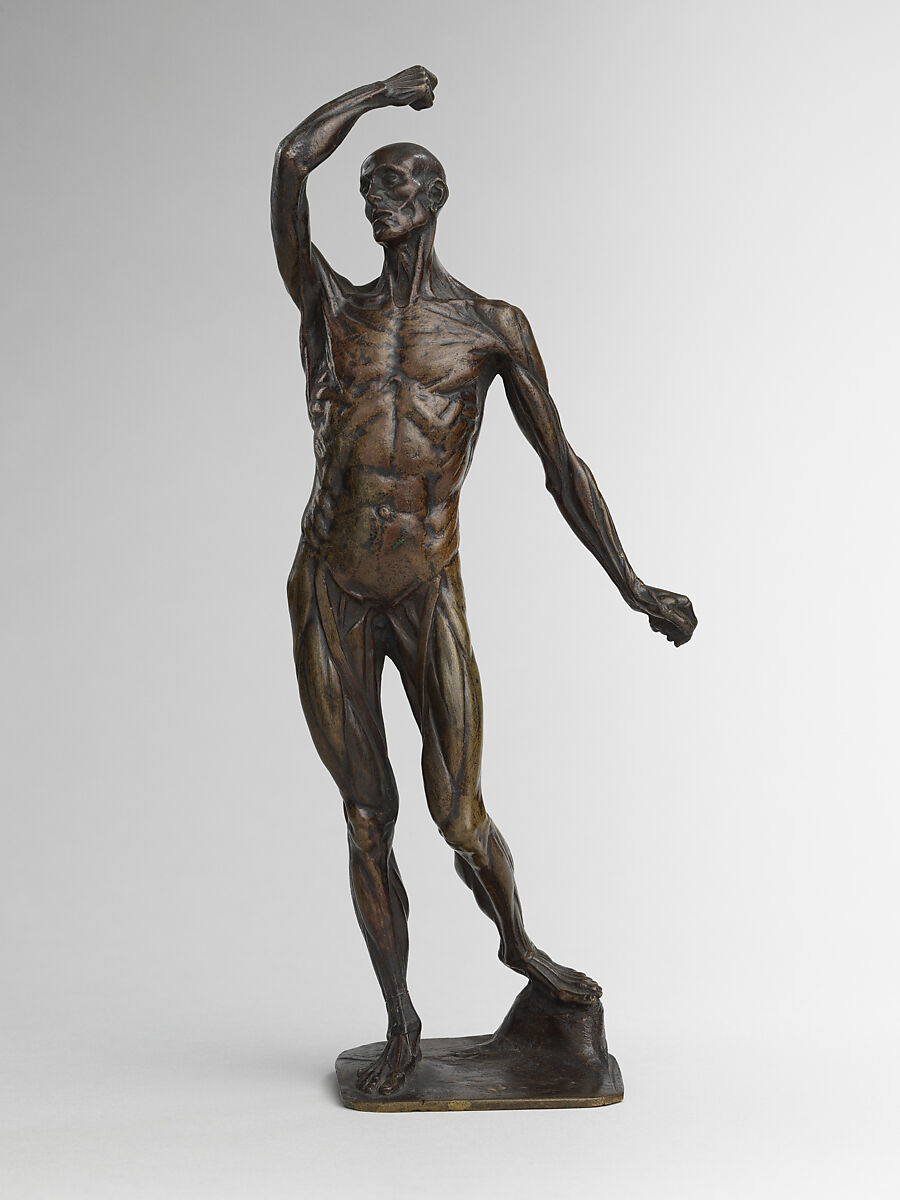 Ecorché, Michael Henry Spang  Danish, Bronze, marble base, British