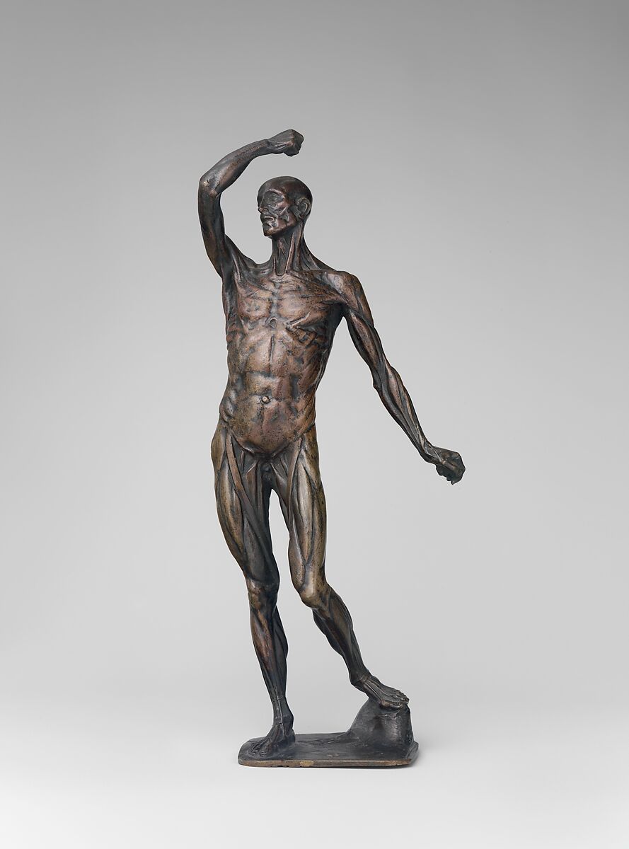 Ecorché, Michael Henry Spang, Bronze, marble base, British