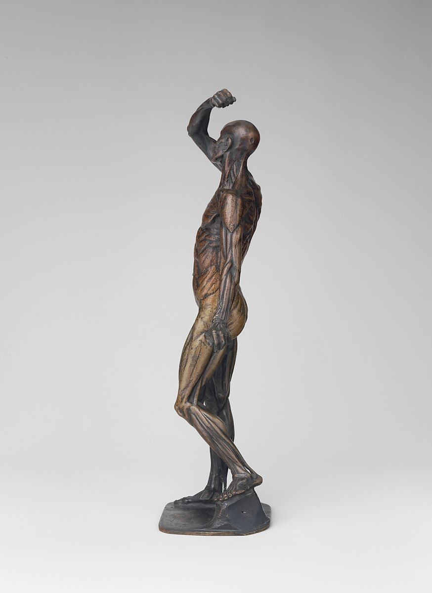 Ecorché, Michael Henry Spang (Danish, died 1762), Bronze, marble base, British