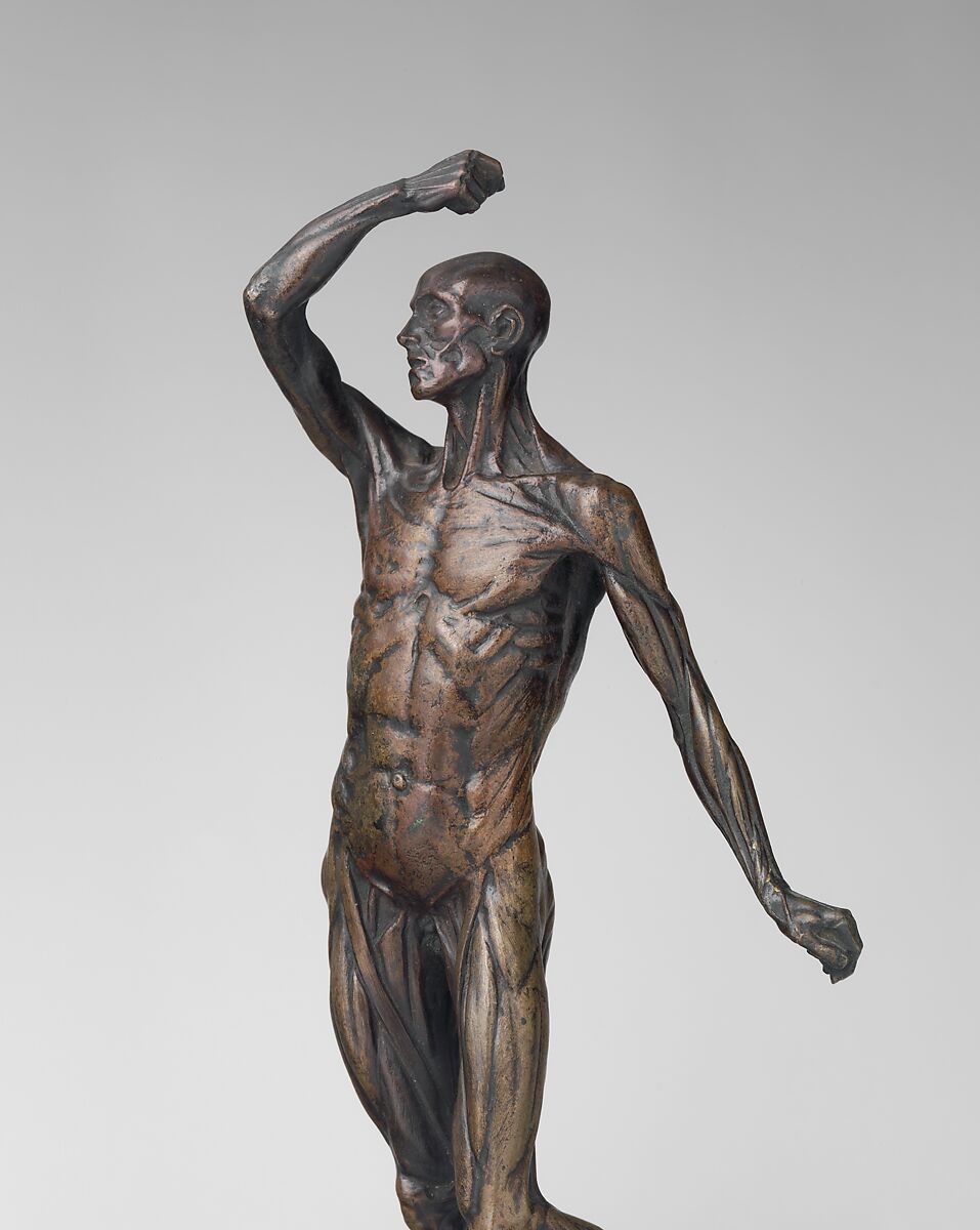Ecorché, Michael Henry Spang (Danish, died 1762), Bronze, marble base, British