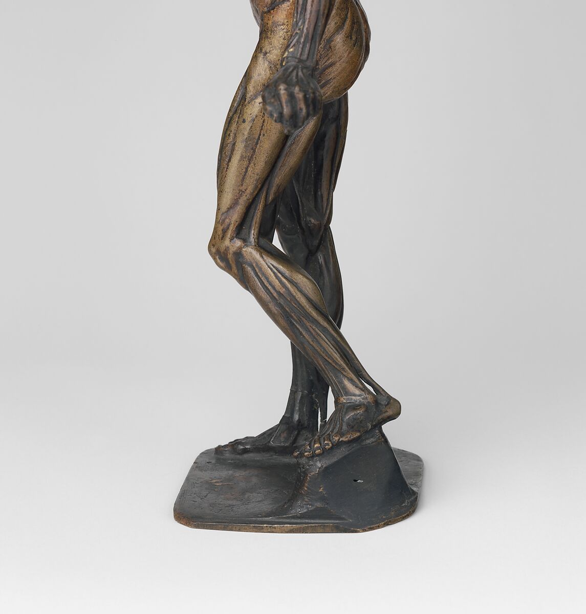 Ecorché, Michael Henry Spang (Danish, died 1762), Bronze, marble base, British