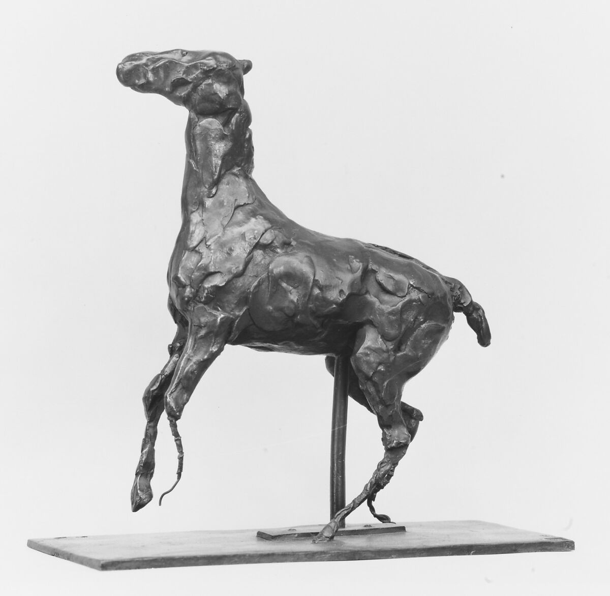 Prancing Horse, Edgar Degas (French, Paris 1834–1917 Paris), Bronze, French 