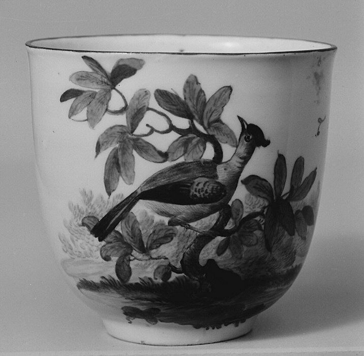 Cup (part of a service), Frankenthal Porcelain Manufactory (German), Hard-paste porcelain, German, Frankenthal 