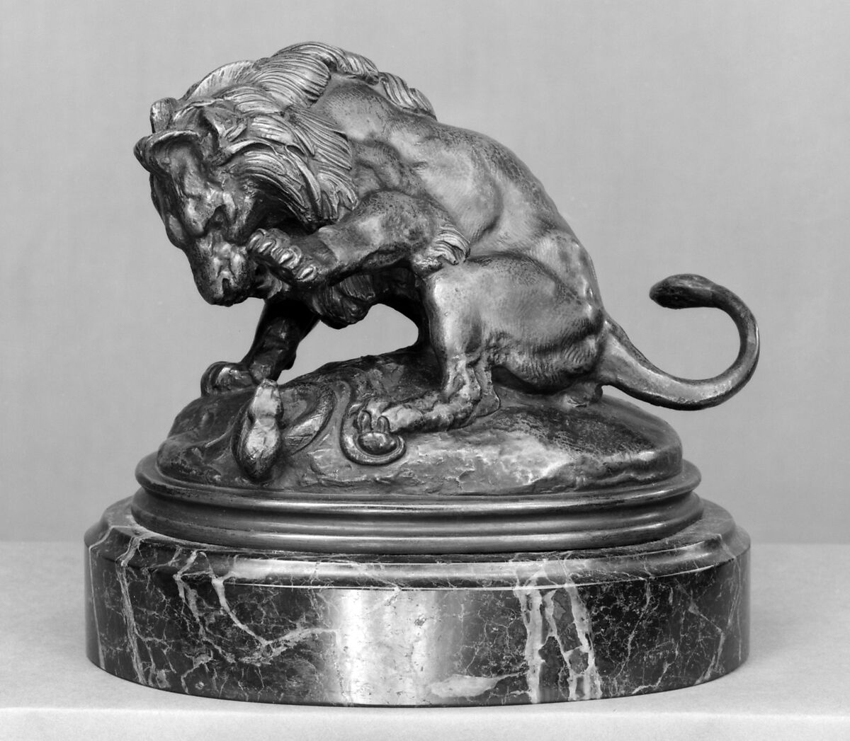 Lion About to Strike a Serpent (Lion la patte levée sur un serpent or Esquisse du lion des Tuileries), Antoine-Louis Barye (French, Paris 1795–1875 Paris), Bronze, brown patina; marble, French 