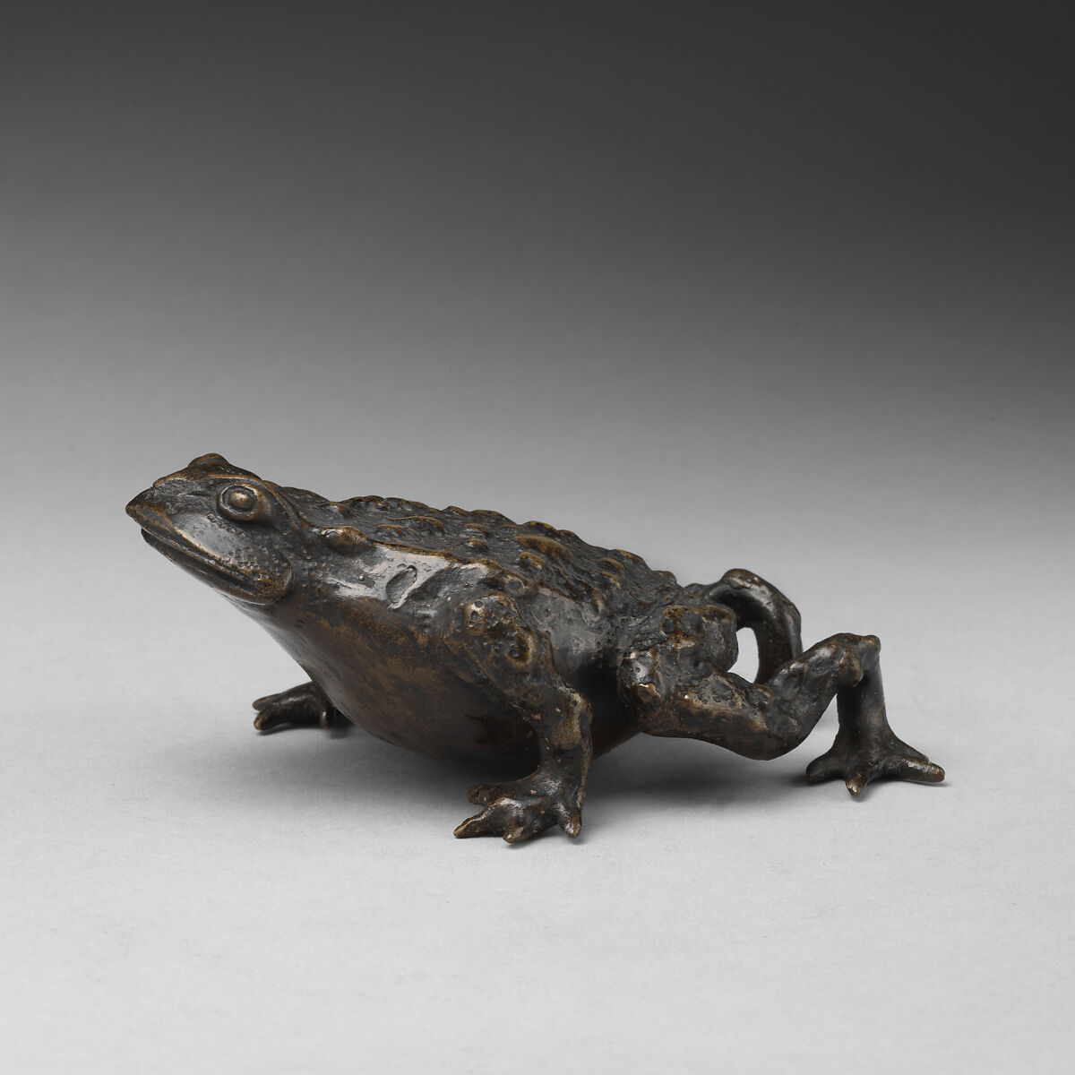 Toad, Bronze, Italian, Padua 