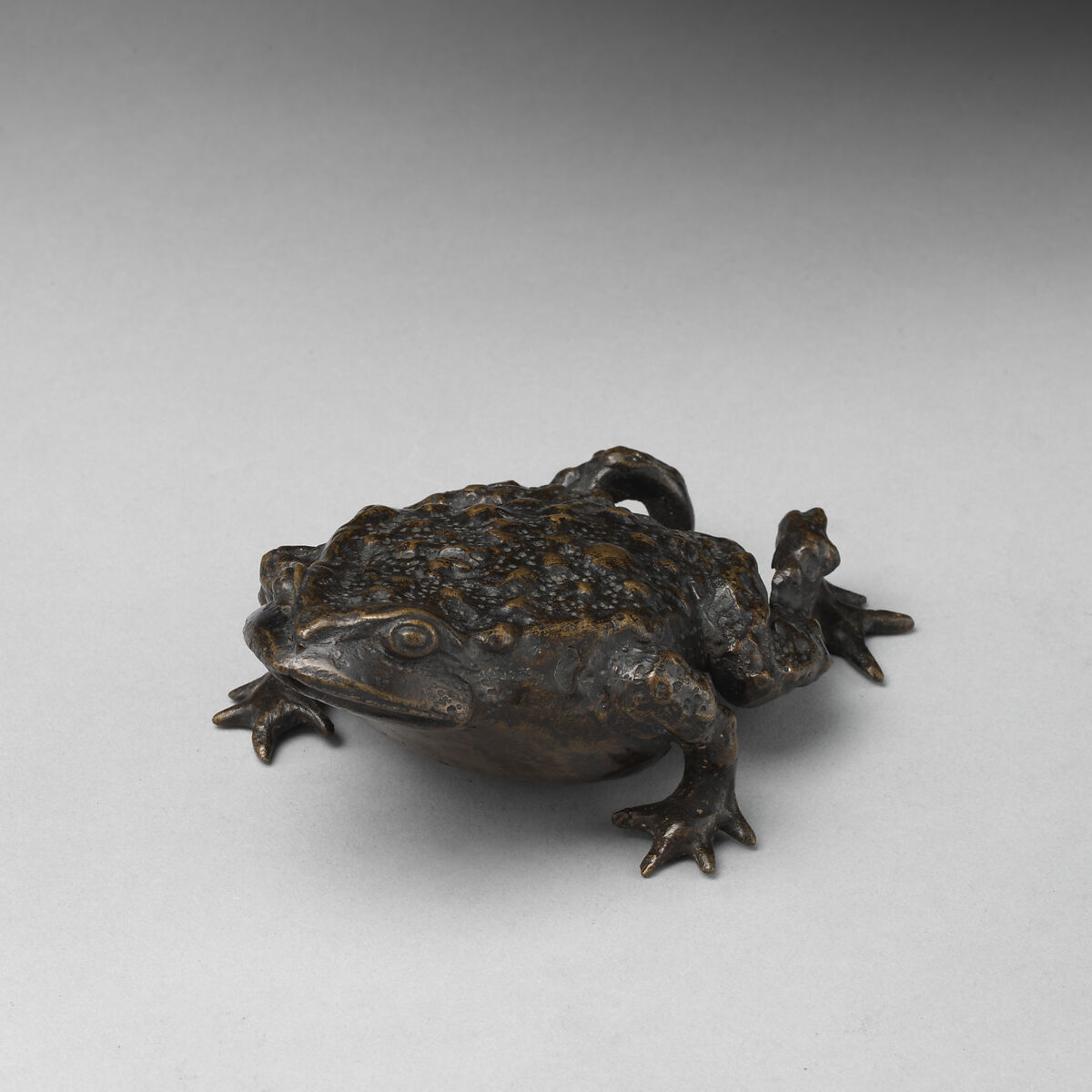 Toad, Bronze, Italian, Padua