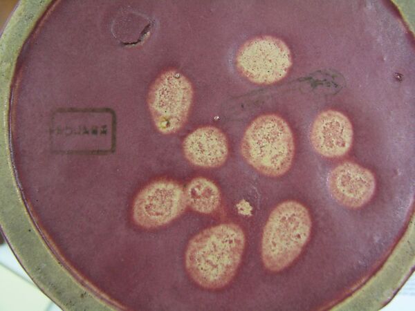 Vase, Fulper Pottery Company (1899–1935), Stoneware, American