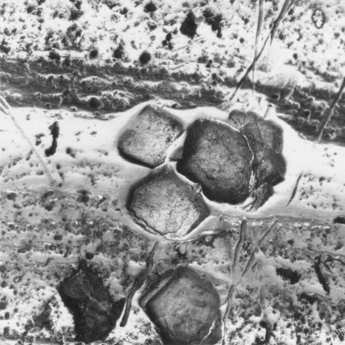 Pair of candlesticks, Silver, French, Montpellier