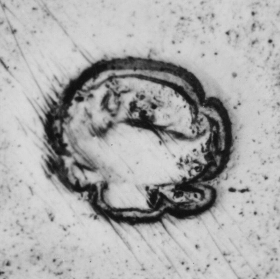 Cruet stand, Probably Joseph-Pierre-Jacques Duguay (born 1724, master 1756, recorded 1793), Silver; glass, French, Paris