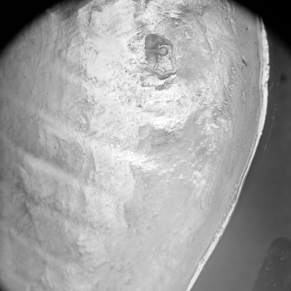 Double salt or pepper box, Edme-Pierre Balzac (1705–ca. 1786, master 1739, recorded 1781), Silver, French, Paris