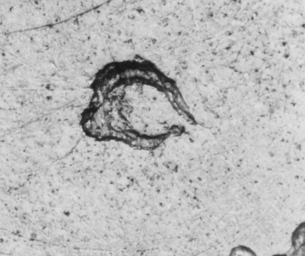 Spice box with grater, Charles-François Croze (French, master 1712), Silver, French, Paris