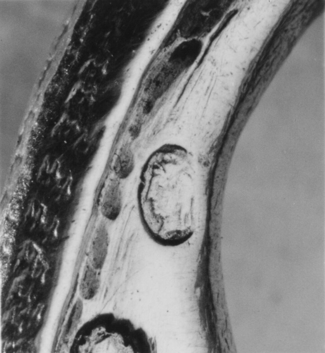 Dish, Louis Regnard (master 1733, died 1779), Silver, French, Paris