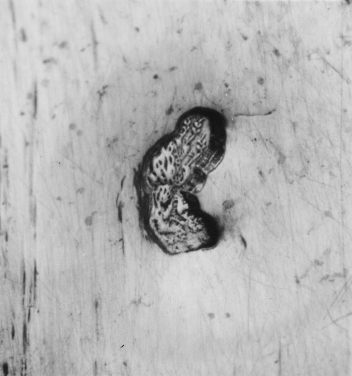 Mustard pot, Christophe Troy (master 1737), Silver, French, Lyons