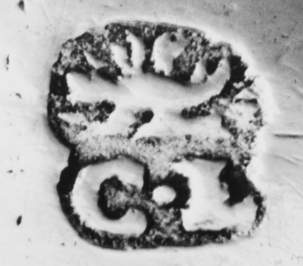 Wine taster, Charles Lagenet (active 1732–52), Silver, French, Le Havre