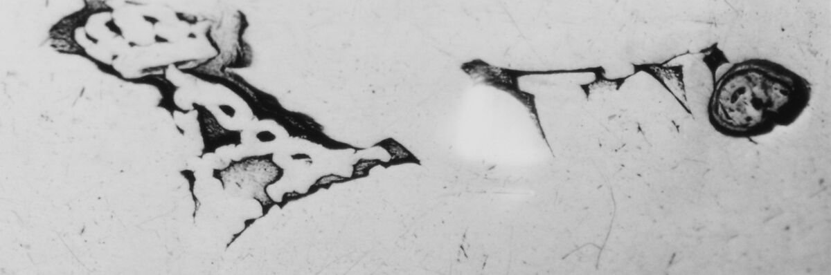 Wine taster, Silver, French, Paris