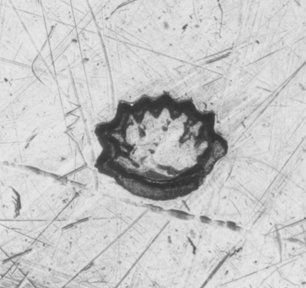 Plate with the arms of Jean-Euverte Miron de la Mothe (1757–1835) and his wife, Angélique Crignon de Bonvalet (1746-1839), Alexis Micalef (master 1756, transferred to Lyons 1773, active Lyons 1788), Silver, French, Paris