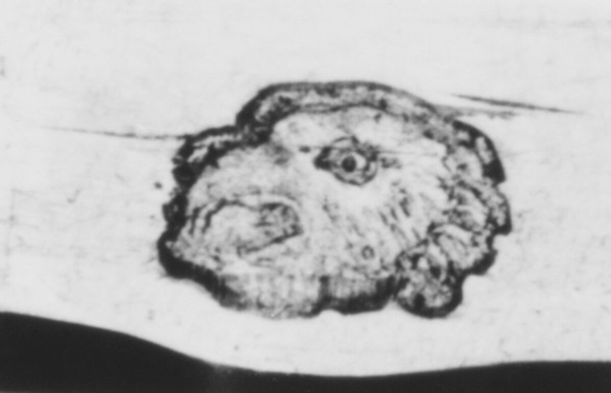 Casserole with cover, Jean-François-Nicolas Carron (master 1775, active 1806), Silver; wood, French, Paris