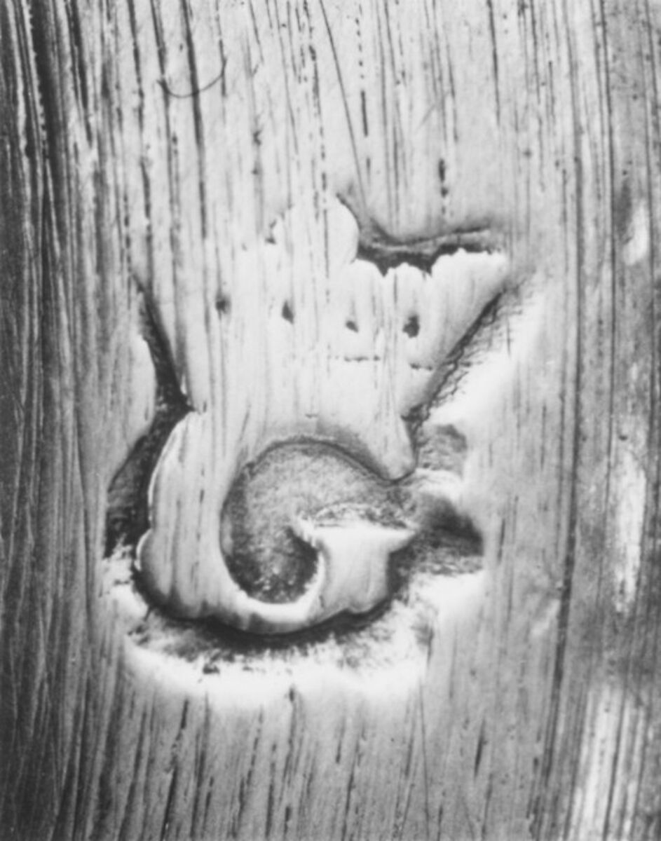 Pair of candlesticks, Charles Petit (master 1659, registered new mark 1680, recorded 1695), Silver, French, Paris