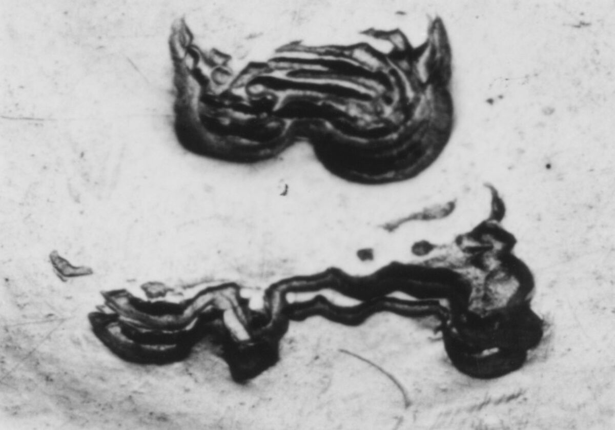 Sugar bowl, Pierre Benardié (or Berardier) (master 1775, active 1792), Silver; glass, French, Lyons